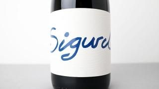 [3920] Carignan 2021 SIGURD / ˥ 2021 