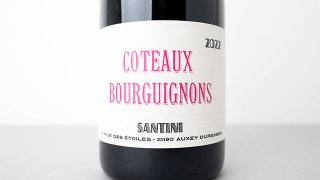 [3920] Coteaux Bourguignones 2022 SANTINI COLLECTIVE / コトー・ブルギニョン 2022 サンティニ・コレクティヴ
