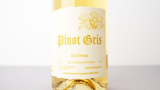 [2880] Pinot Gris 2022 Still Life Wines / ピノ・グリ 2022 スティル・ライフ・ワイン