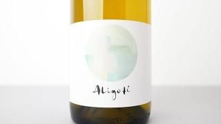 [3600] Aligote 2022 RAPHAELLE GUYOT / ꥴ 2022 ե롦奤