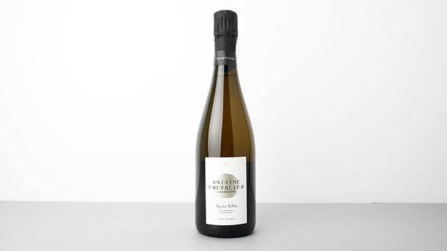10400] Tecta Silva 2019 Antoine Chevalier / テクタ・シルヴァ