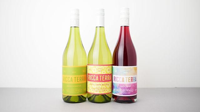 2240] Sunset Pet Nat 2023 Ricca Terra / サンセット ペットナット