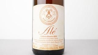 [3360] ALE 2022 DANILO MARCUCCI / 졦 2022 ˡޥ륯å