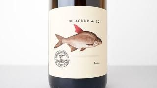 [3600] EAU DE SOLOGNE No.7 PINOT NOIR 2022 DOMAINE DELHOMME & CO / ̥åȥȥԥΥΥ 2022