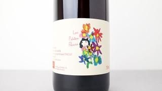 Les Petites Fleurs 2022 Vincent Tricot /  졦ץƥåȡե롼 2022 󥵥󡦥ȥꥳ