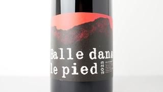 [3040] Balle dans le Pied 2023 Peltier Ravineau / Х롦󡦥롦ԥ 2023 ڥƥΡ