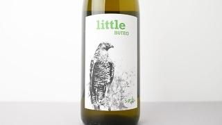 [2720] Little Buteo 2022 Michael Gindl /  ȥ롦֥ƥ 2022 ߥҥ㥨롦ɥ