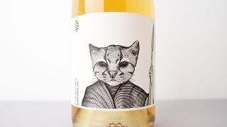 [2160] Folklore Naranja 2023 Bodega Cerro Chapeu / ե졦ʥ 2023 ܥǥڥ