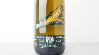 [2480] Malvasia Frizzante 2022 Camillo Donati / ޥեå 2022 ߥåɥʡƥ