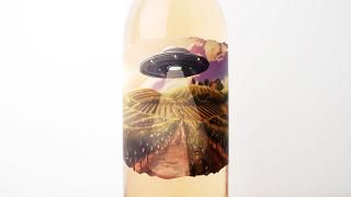 [2640] GRAPE ABDUCTION COMPANY Rose 2022 GONC / 졼ץ֥󥫥ѥˡ  2022 