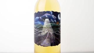 [2640] GRAPE ABDUCTION COMPANY Orange 2023 GONC / 졼ץ֥󥫥ѥˡ  2023 