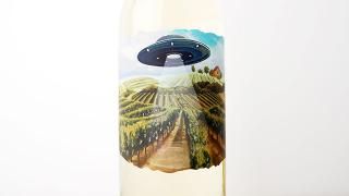 [2640] GRAPE ABDUCTION COMPANY White 2023 GONC / 졼ץ֥󥫥ѥˡ ۥ磻 2023 
