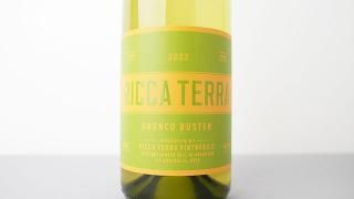 [1920] Bronco Buster 2023 Ricca Terra / ֥󥳡Х 2023 åƥå