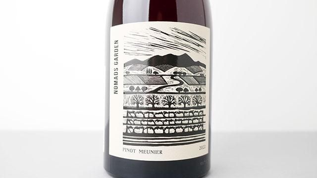 Gyafhen出品　 　PINOT NOIR MADREPERLA てぃんくるNE版 PINOT NOIR MADREPERLA - メルカリ