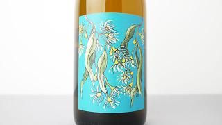 4500] CARBONIC CHARDONNAY 2022 BORACHIO / カーボニック