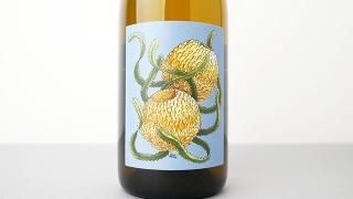 [4500] CARBONIC CHARDONNAY 2022 BORACHIO / ܥ˥å ɥ 2022 ܥ顼