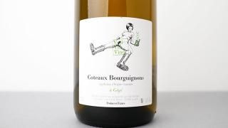 [ͭ] Coteaux Bourguignons Blanc a Gege 2020 Vini Viti Vinci / ȡ֥륮˥󡦥֥  2020