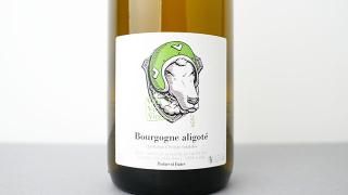 [ͭ] Bourgogne Aligote 2020 Vini Viti Vinci / ֥르˥塦ꥴ 2020 ˡƥ