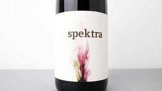 [3200] spektra 2022 Andreas, Lydia & Martin Nittnaus / ڥȥ 2022 ɥ쥢ǥޡƥ ˥åȥʥ
