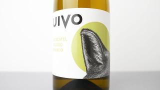 [2400] UIVO MOSCATEL GALEGO BRANCO 2022 FOLIAS DE BACO /  ⥹ƥ롦쥴֥ 2022 եꥢǡХ