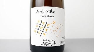 [4400] Ambratile 2020 Cantina Antonioli / ֥顼ƥ 2020 ƥʡȥ˥