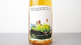 [3360] Vallecaia 2022 terracanta / å쥫 2022 ƥå饫