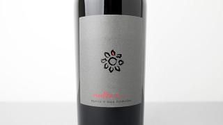 [3360] martha rouge 2023 Martin & Anna Arndorfer / ޡ롼 2023 ޡƥʡɥե