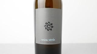 [3360] anina verde 2023 Martin & Anna Arndorfer / ˡʡ 2023 ޡƥʡɥե
