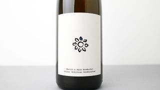 [2480] Gruner Veltliner handcrafted 2023 Martin & Anna Arndorfer / 塼ʡեȥ꡼ʡ ϥɥեƥå 2023