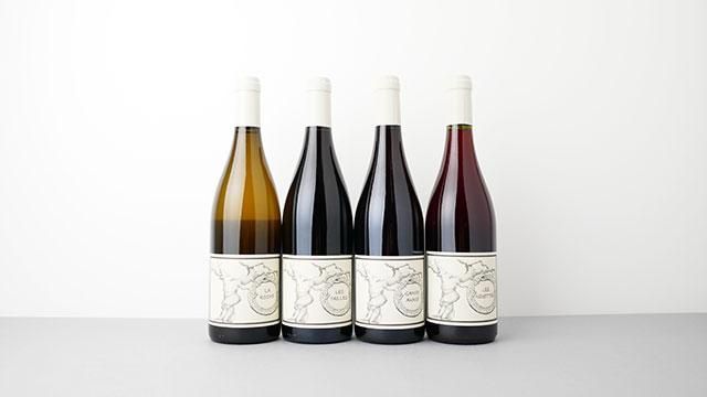 3440] Gamay Aunis 2023 Jean-Christophe Garnier / ガメイ