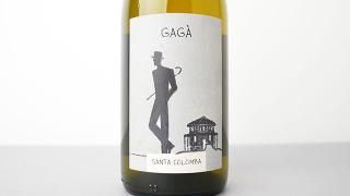 [W]2640] Gaga 2022 Vini Santa Colomba /  2022 ˡ󥿡
