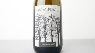 [W]2640] Principiante 2022 Vini Santa Colomba / ץԥ 2022 ˡ󥿡
