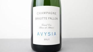[10400] Avysia NV BRIGITTE FALLON /  NV ֥ꥸåȡե
