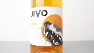 [2880] UIVO CURTIDO 2022 FOLIAS DE BACO / ƥ 2022 եꥢǡХ