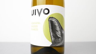 [2400] UIVO MOSCATEL GALEGO BRANCO 2022 FOLIAS DE BACO /  ⥹ƥ롦쥴֥ 2022 եꥢǡХ