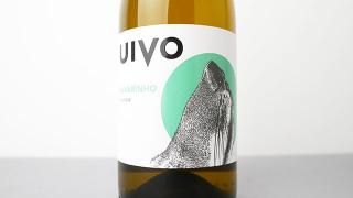 [2560] UIVO ALVARINHO 2022 FOLIAS DE BACO / ꡼˥ 2022 եꥢǡХ