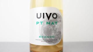 [2880] UIVO PT NAT BRANCO 2022 FOLIAS DE BACO / ڥåȥʥåȡӥ 2022 եꥢǡХ