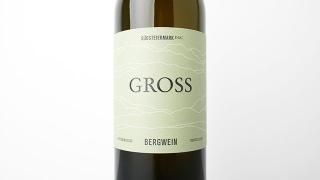 [2800] BERGWEIN 2020 GROSS / ٥륯 2020 