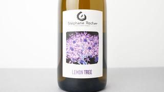 [3120] Lemon Tree 2023 La Ferme de Mont Benault / 󡦥ĥ꡼ 2023 롦եࡦɡ󡦥֥Ρ