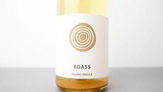 [2560] Sgass 2023 Il Cavallino /  2023  å꡼