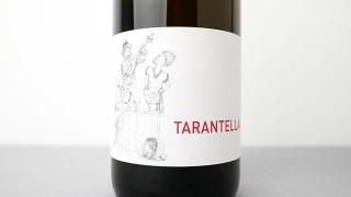 [2560] TARANTELLA 2023  Nord und Sud / ƥ 2023 Υȡȡ塼