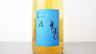 [3120] LAU Weiss 2022 Hannes / 饦 2022 ϡͥ
饦