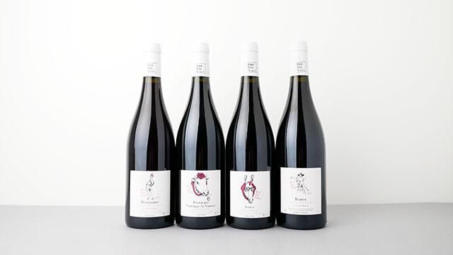 5200] Irancy - La Croix Buteix 2022 Vini Viti Vinci