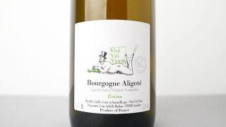 [3440] Bourgogne Aligote Breau 2022 Vini Viti Vinci / ֥르˥塦ꥴ ֥쥪 2022 ˡƥ