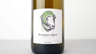 [3360] Bourgogne Aligote 2022 Vini Viti Vinci / ֥르˥塦ꥴ 2022 ˡƥ