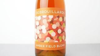[4800] Amber Field Blend 2023 Les Vins Debrouillards / Сեɡ֥ 2023 졦󡦥ǥ֥륣䡼