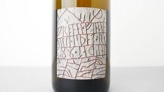 [3600] Menu Pineau Romorantin 2022 Frantz Saumon / ˥ԥΡ󥿥 2022 եġ
