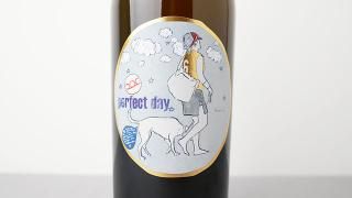 [3120] perfect day 2023 PITTNAUER / ѡեȡǥ 2023 ԥåȥʥ