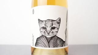 [2080] Folklore Naranja 2024 Bodega Cerro Chapeu / ե졦ʥ 2024 ܥǥڥ