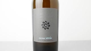 [3360] anina verde 2023 Martin & Anna Arndorfer / ˡʡ 2023 ޡƥʡɥե